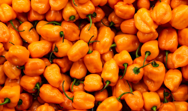 Spicy Hot Sauce - Habanero Peppers